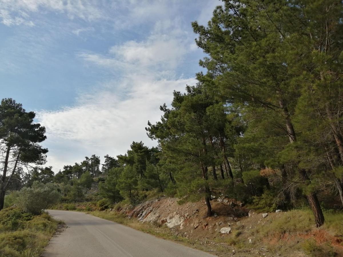 Ferienhaus αναβατοσ εξοχικη κατοικια ιι Anavatos